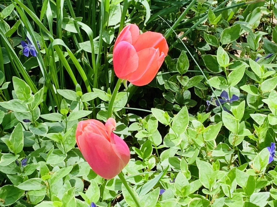 IMG_1367.jpg?type=w966