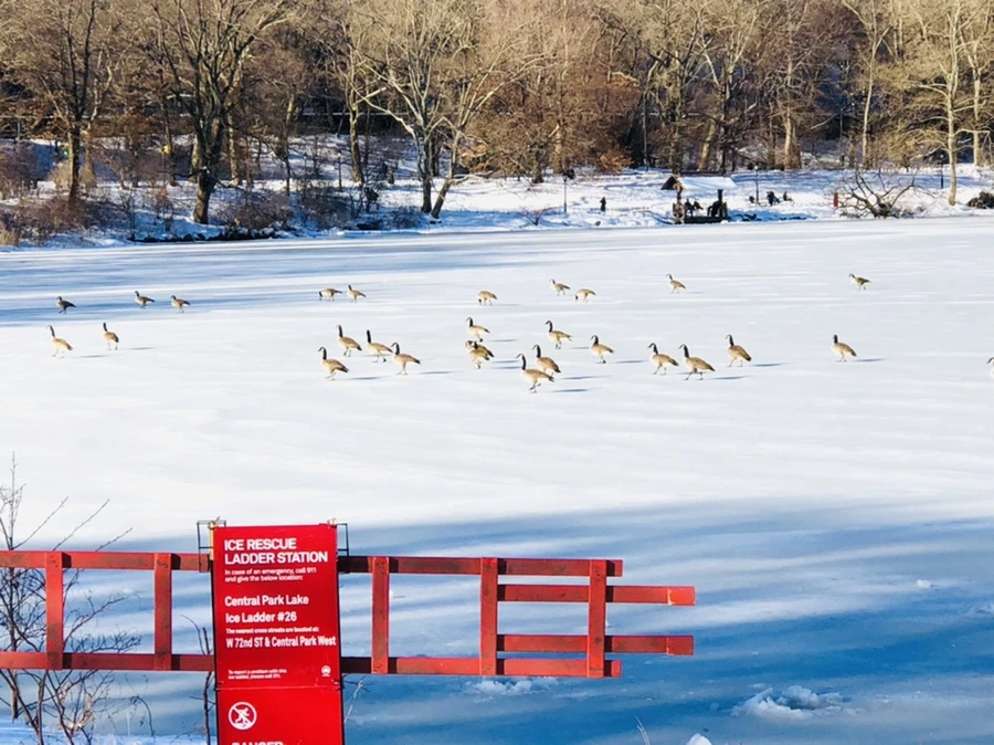 IMG_9870.jpg?type=w966