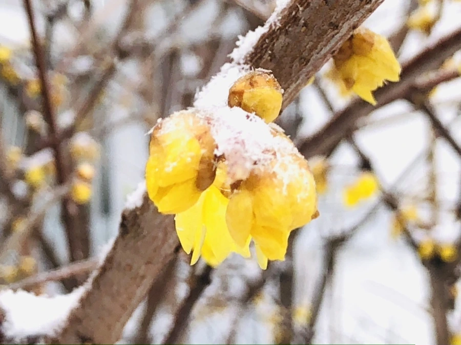 IMG_3498.jpg?type=w966