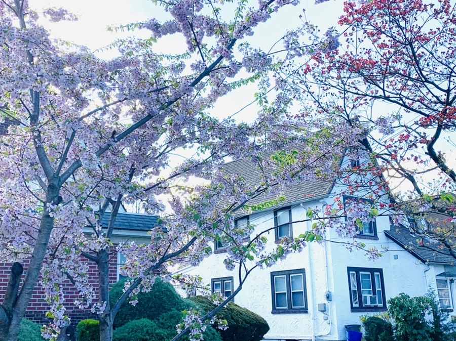 IMG_2612.jpg?type=w966