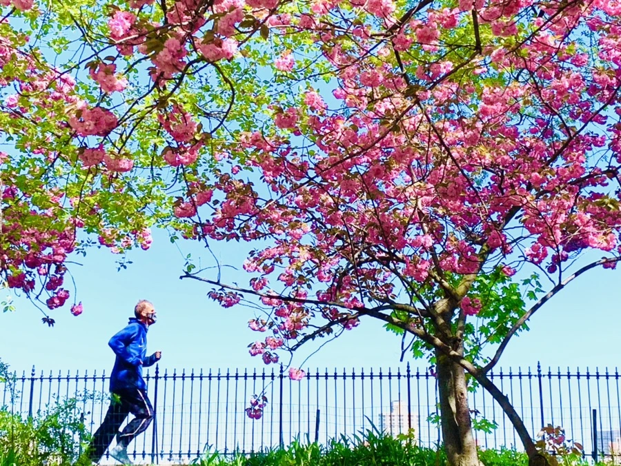 IMG_5897.jpg?type=w966