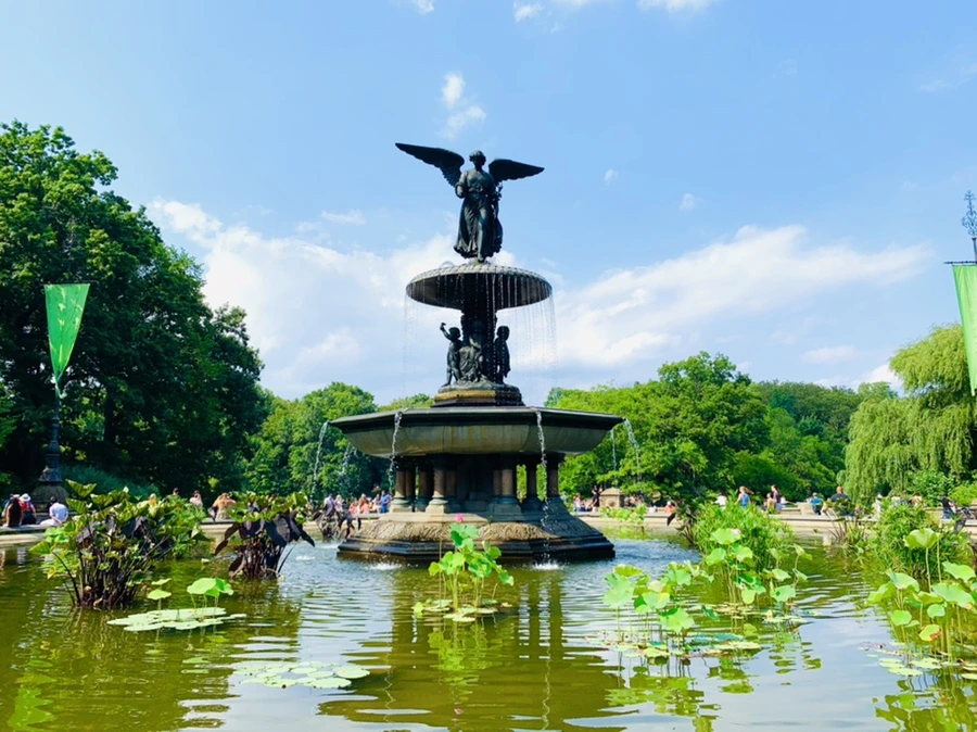 IMG_0634.jpg?type=w966