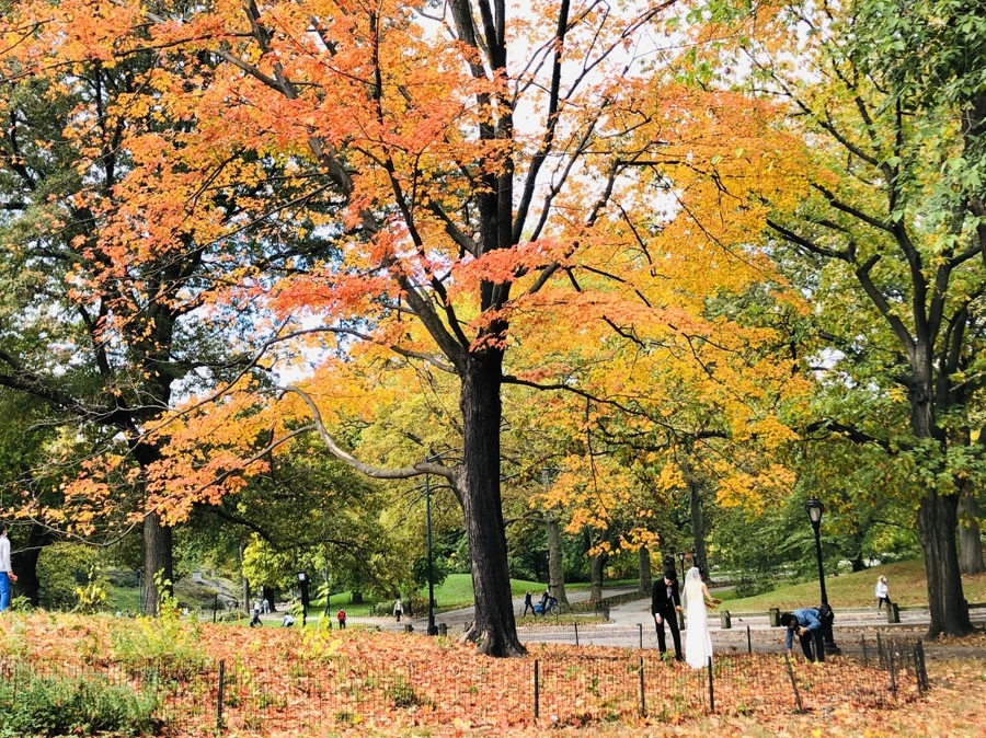 IMG_3031.jpg?type=w966