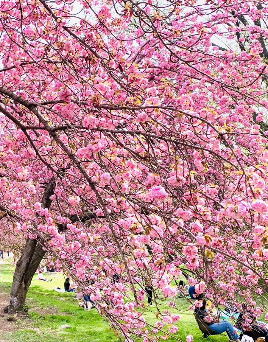 IMG_5198.jpg?type=w966