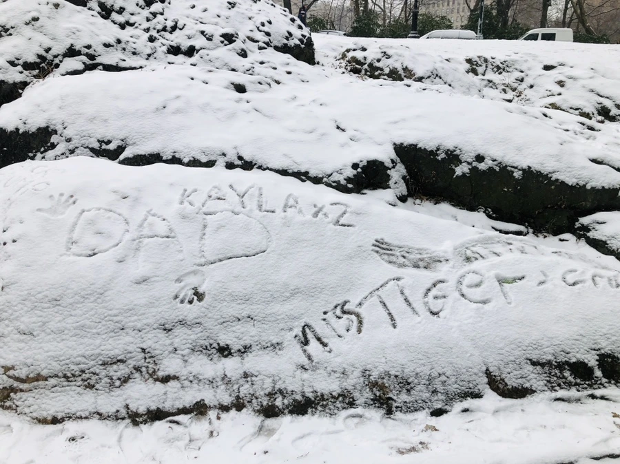 IMG_9537.jpg?type=w966