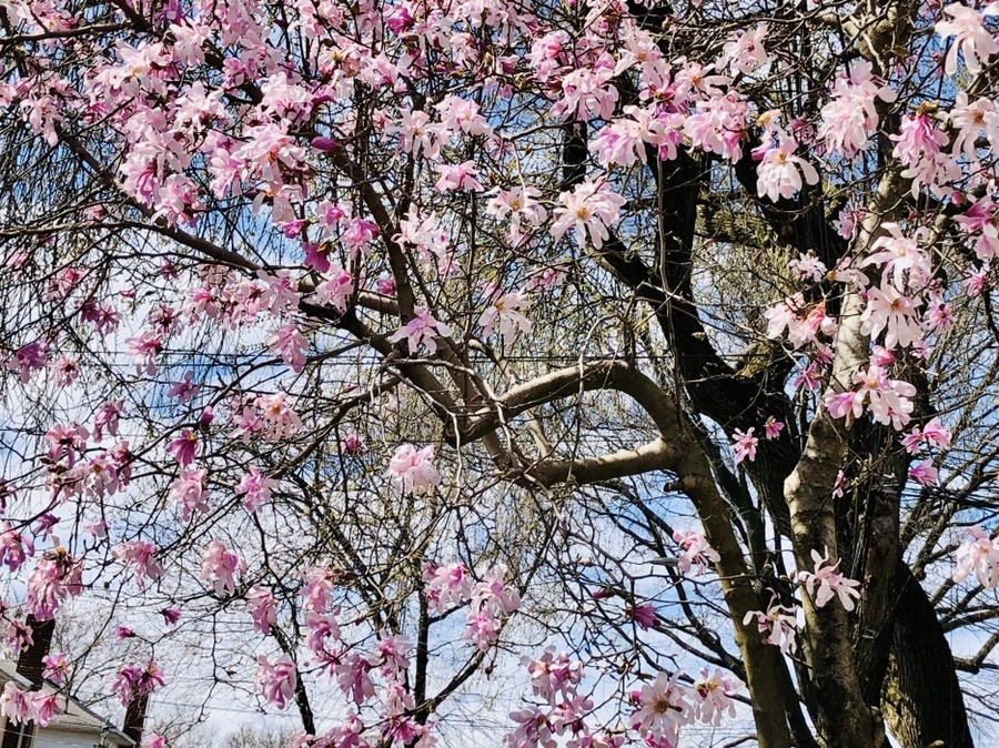 IMG_6571.jpg?type=w966