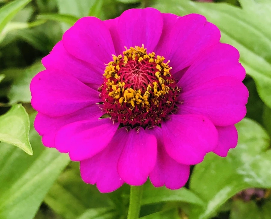 IMG_3634.jpg?type=w966