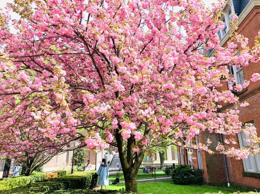 IMG_5086.jpg?type=w966