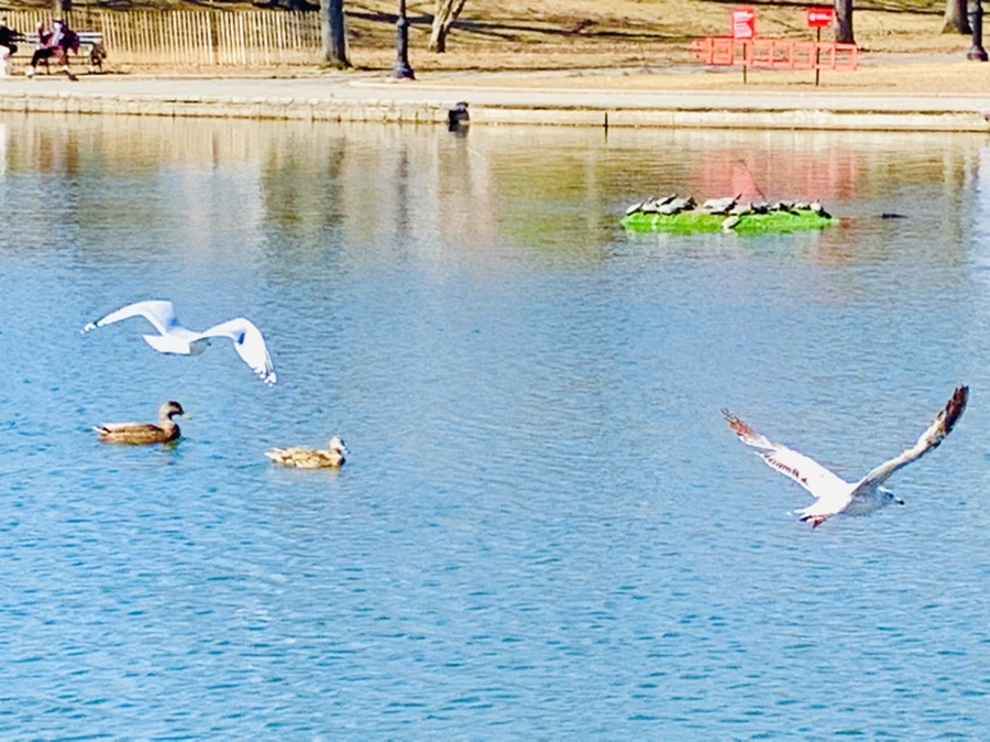 IMG_9364.jpg?type=w966