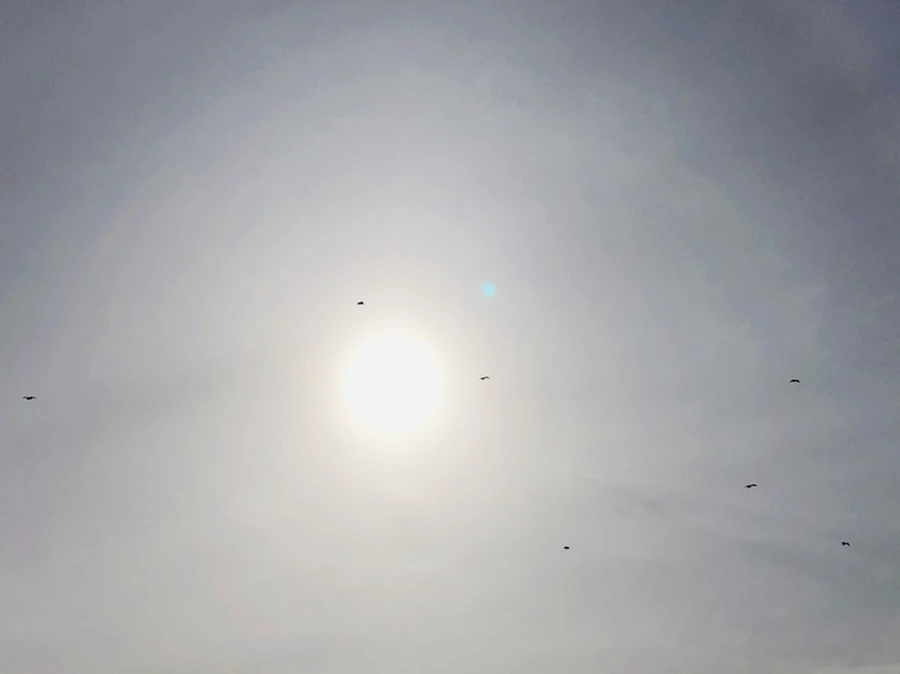 IMG_1681.jpg?type=w966