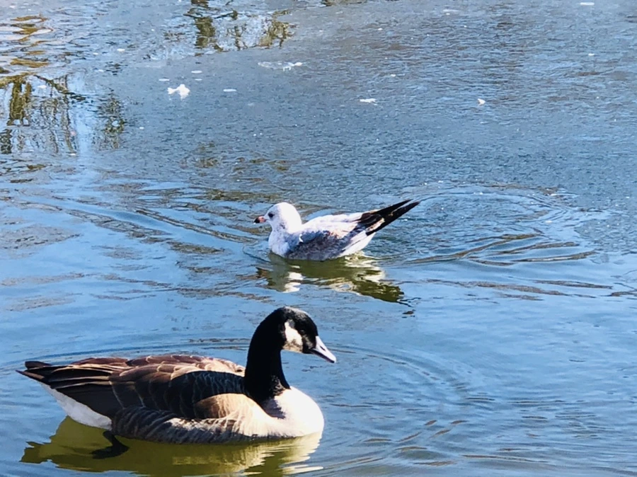 IMG_7712.jpg?type=w966