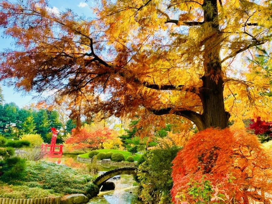 IMG_3177.jpg?type=w966