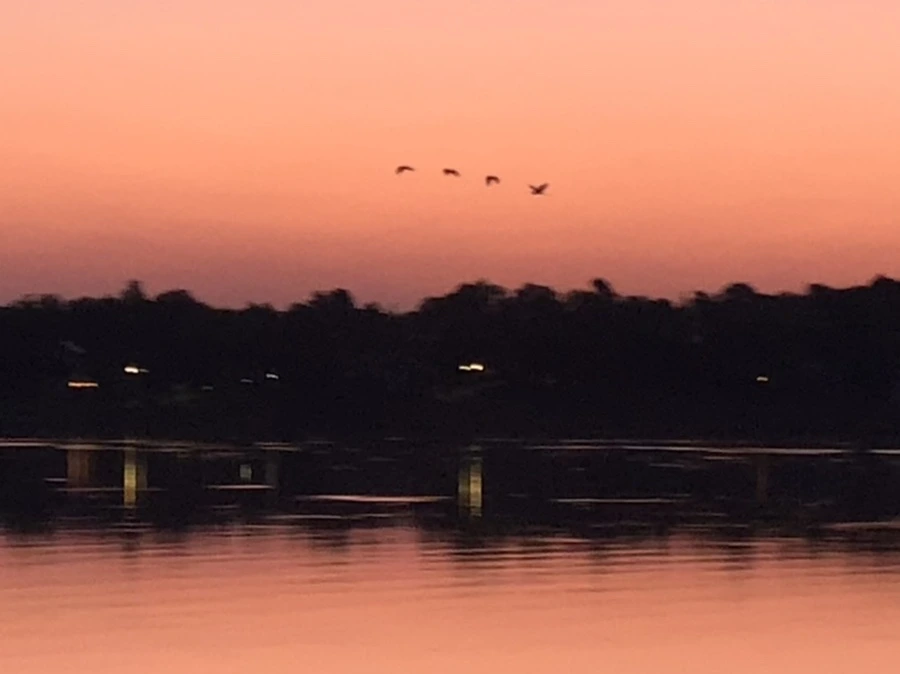 IMG_4318.jpg?type=w966