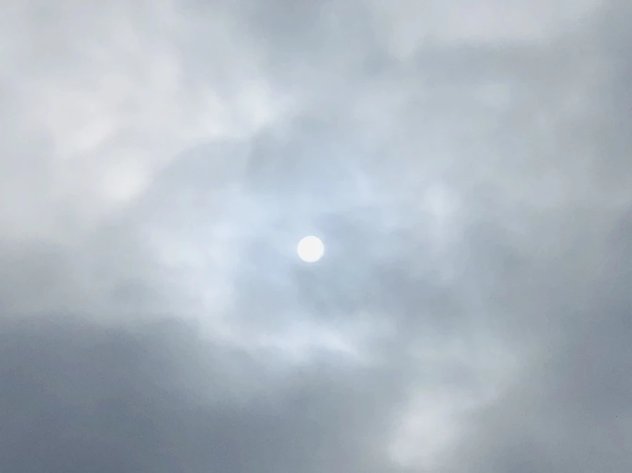 IMG_2125.jpg?type=w966