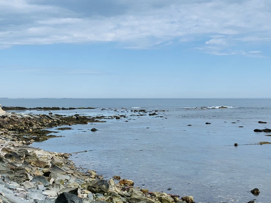 IMG_2772.jpg?type=w966