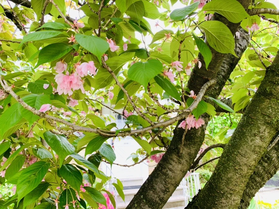 IMG_9533.jpg?type=w966