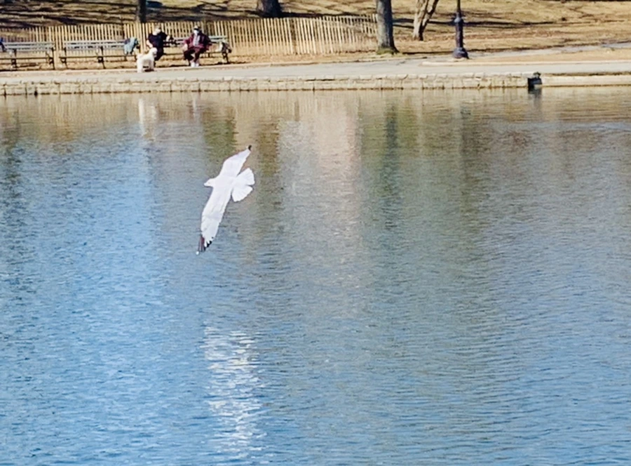 IMG_9278.jpg?type=w966