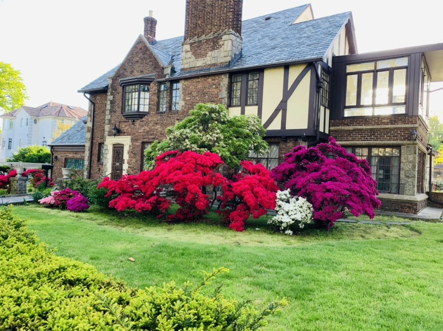 IMG_1798.jpg?type=w966