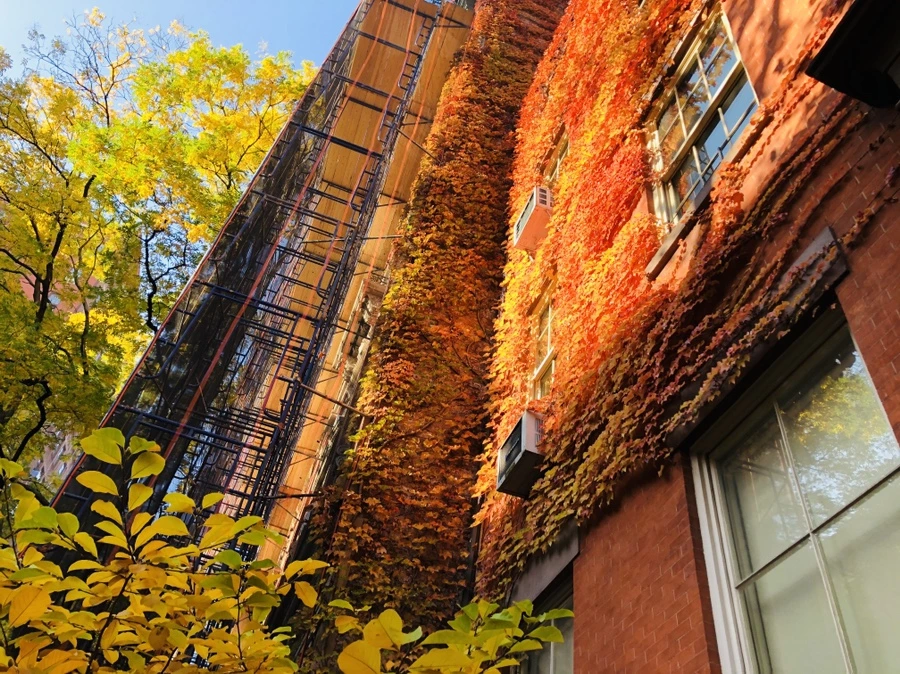 IMG_4028.jpg?type=w966