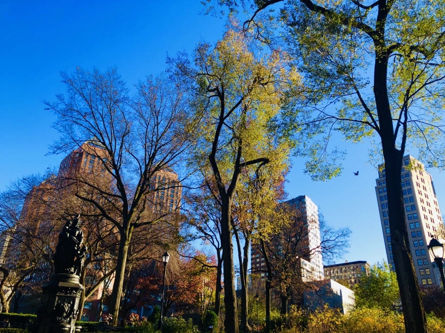 IMG_5985.jpg?type=w966