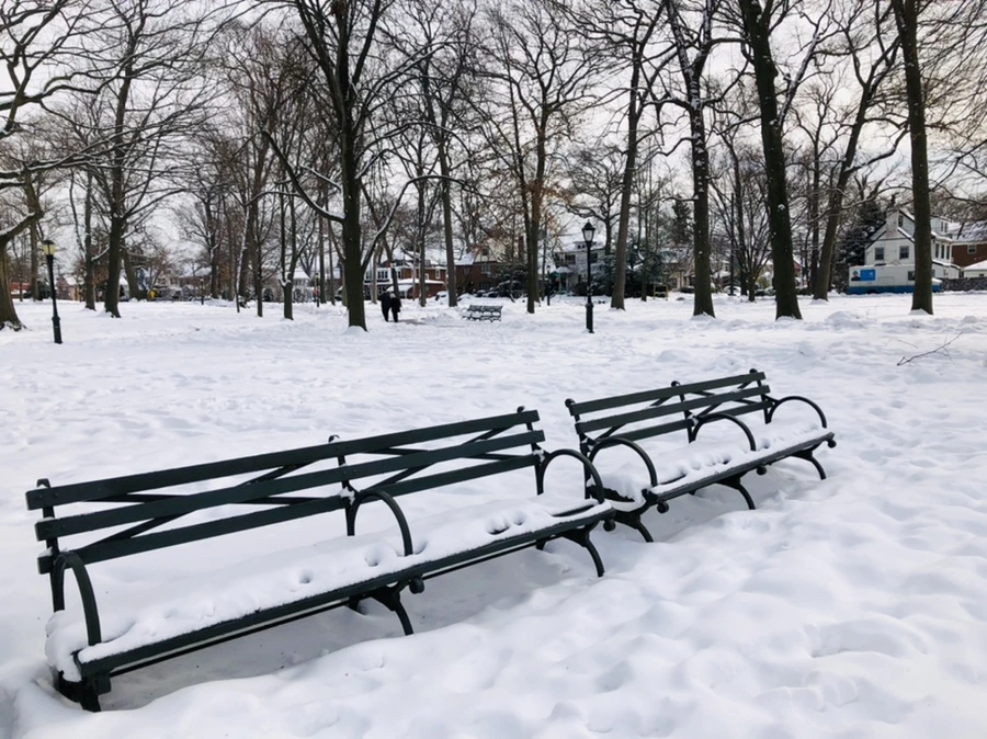 IMG_2158.jpg?type=w966