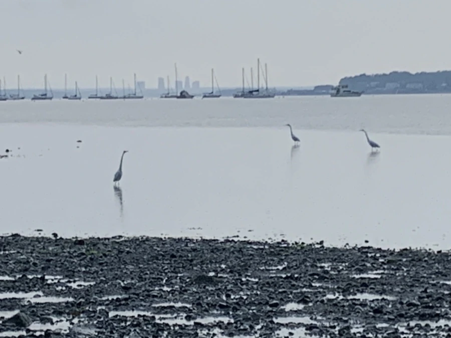 IMG_8106.jpg?type=w966