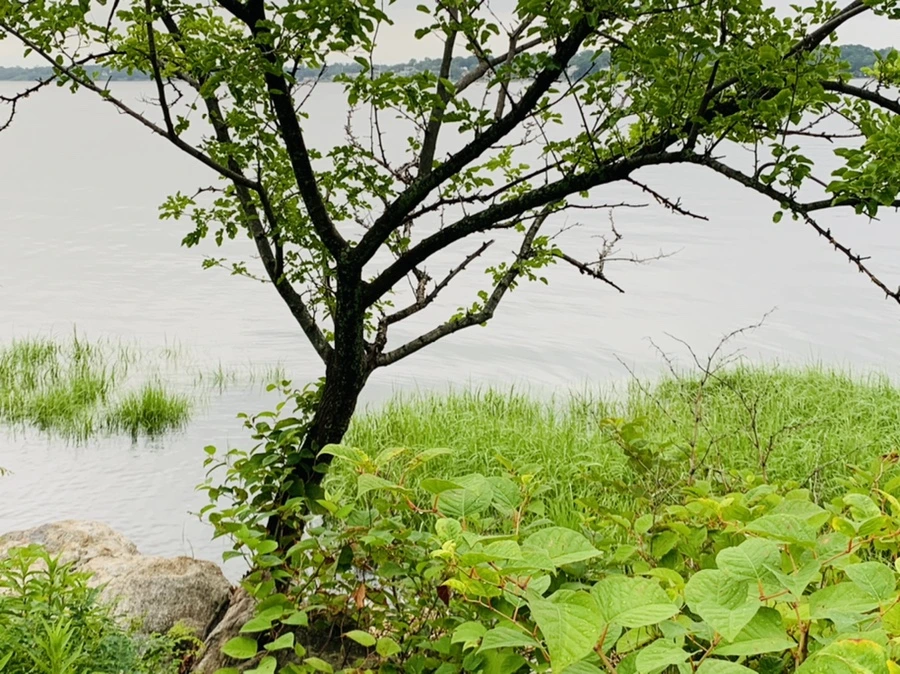 IMG_7120.jpg?type=w966