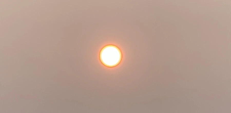 IMG_8169.jpg?type=w966