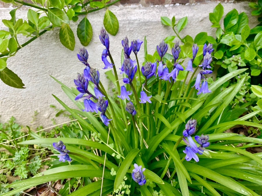 IMG_6327.jpg?type=w966