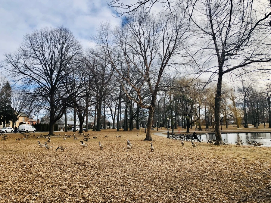 IMG_4079.jpg?type=w966