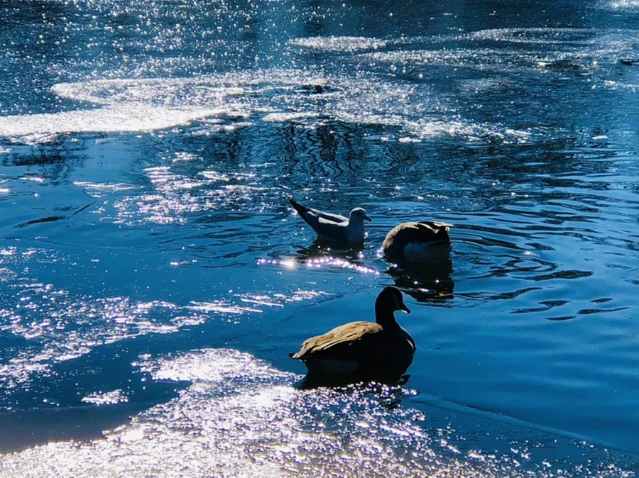 IMG_8060.jpg?type=w966