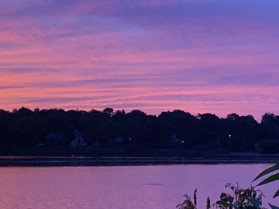 IMG_5826.jpg?type=w966