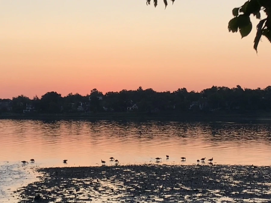 IMG_0066.jpg?type=w966