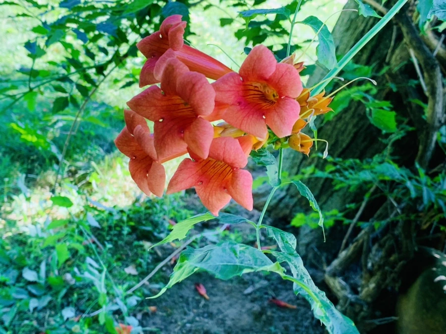 IMG_8704.jpg?type=w966