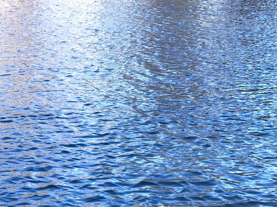 IMG_3804.jpg?type=w966