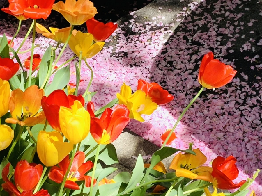 IMG_5669.jpg?type=w966