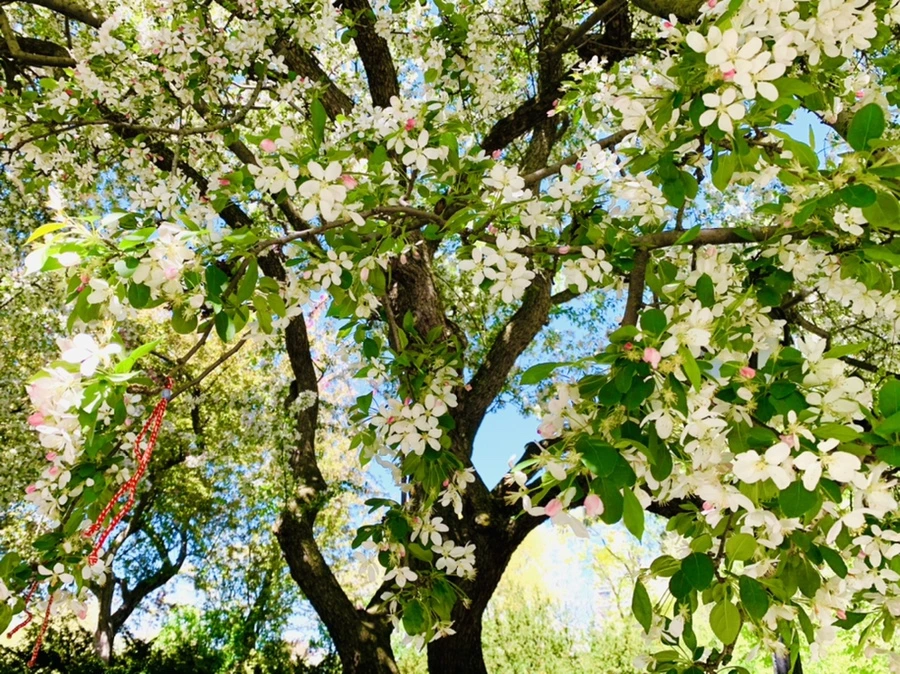 IMG_5745.jpg?type=w966