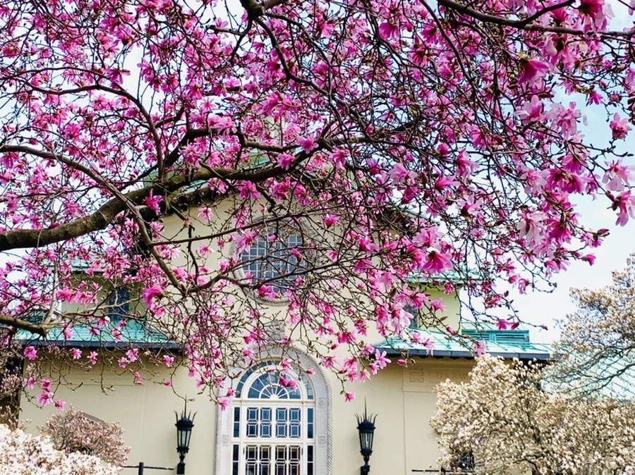 IMG_7230.jpg?type=w966