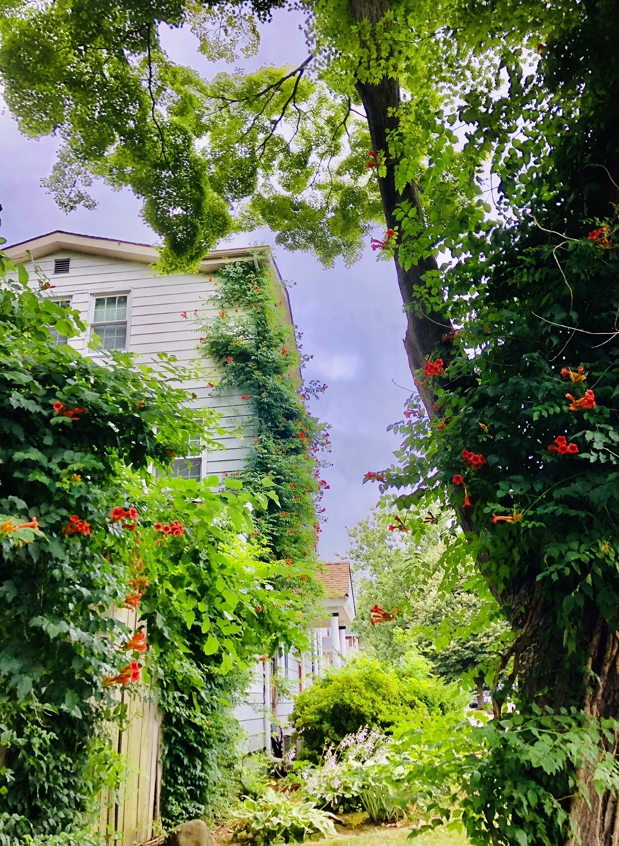 IMG_2058.jpg?type=w966