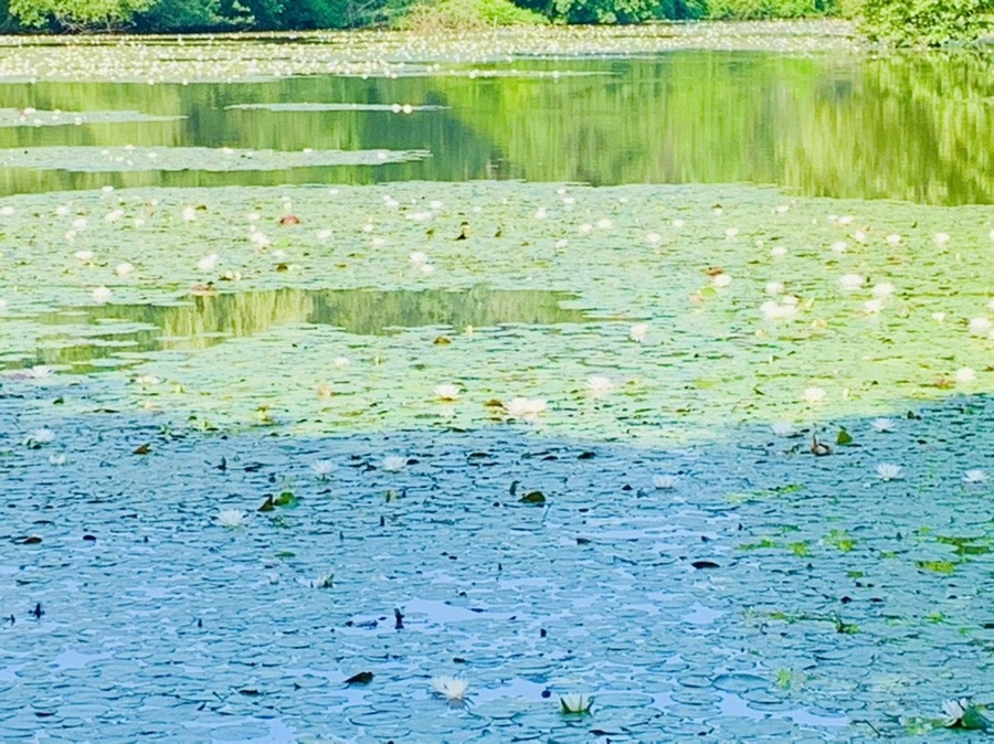 0_67p2yezhVNCS-I8uXMX2GR4SM