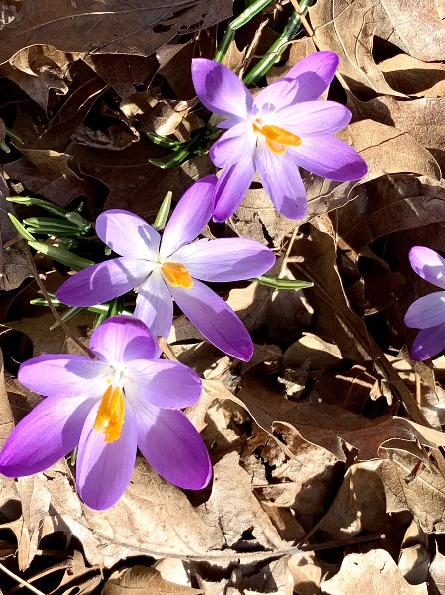 IMG_9620.jpg?type=w966