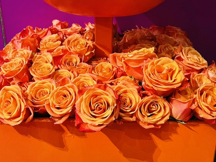 IMG_7621.jpg?type=w966