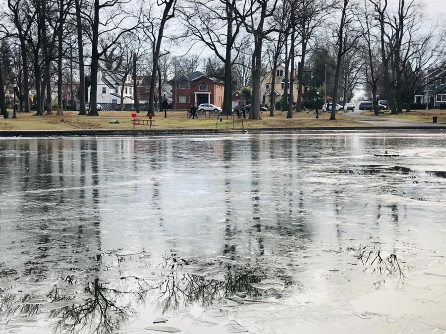 IMG_2018.jpg?type=w966