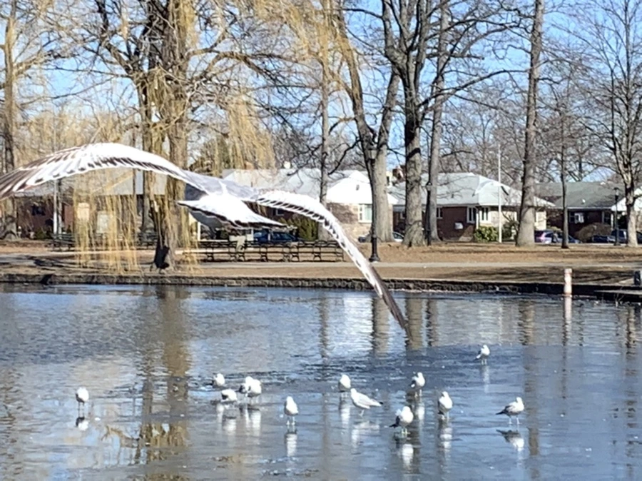 IMG_8305.jpg?type=w966