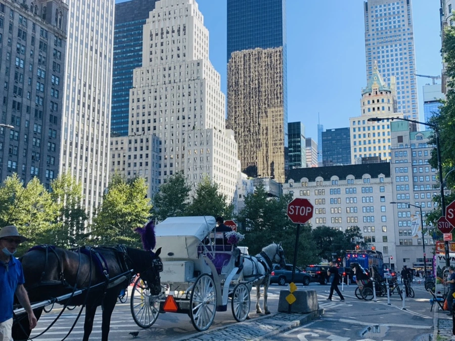 IMG_7680.jpg?type=w966