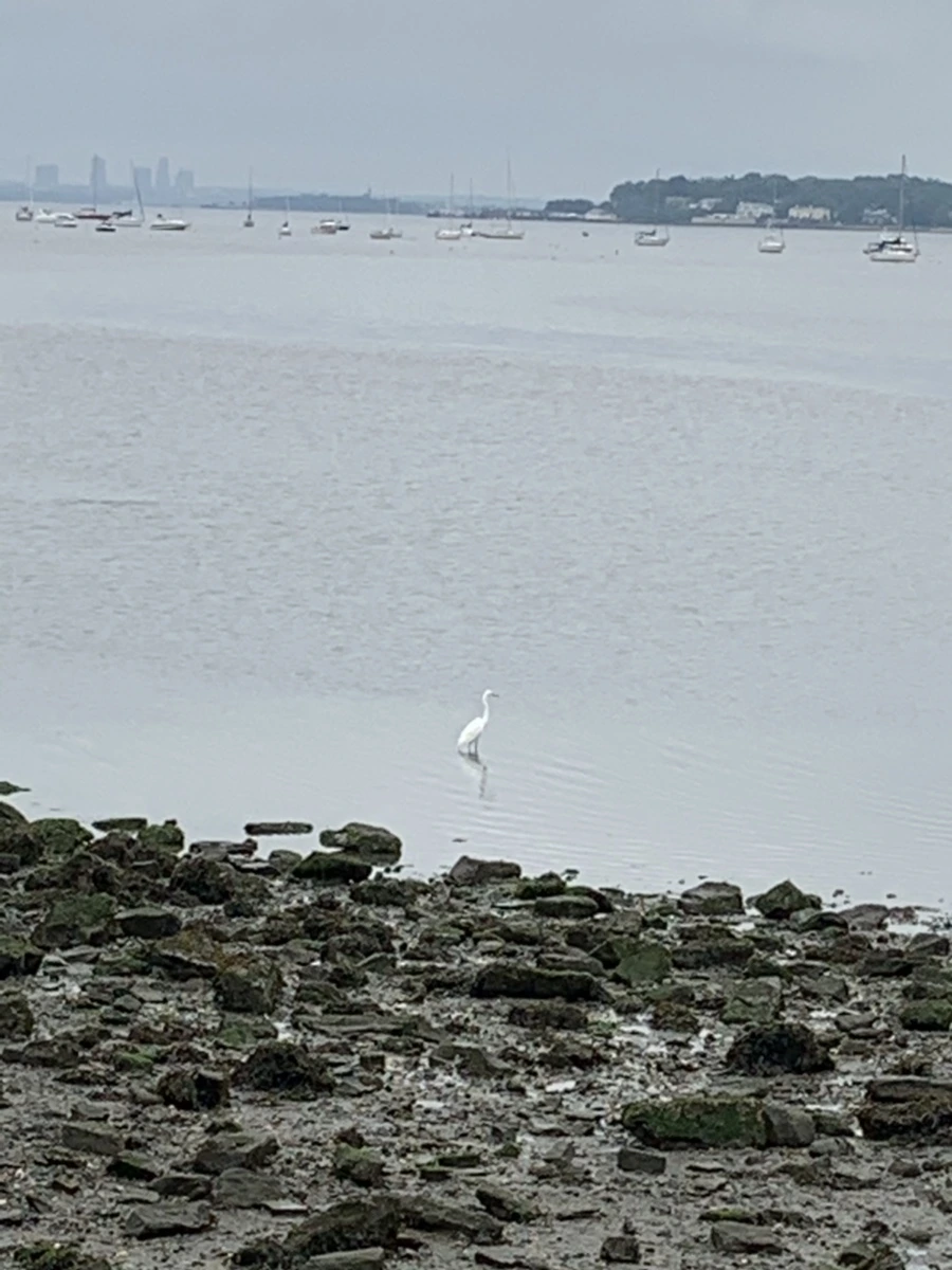 IMG_3629.jpg?type=w966