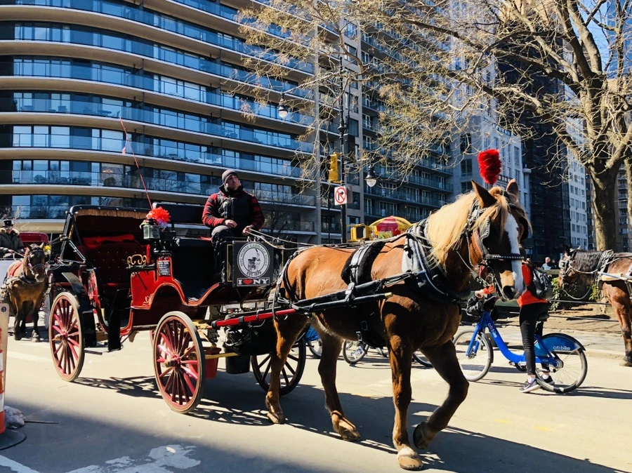 IMG_1186.jpg?type=w966