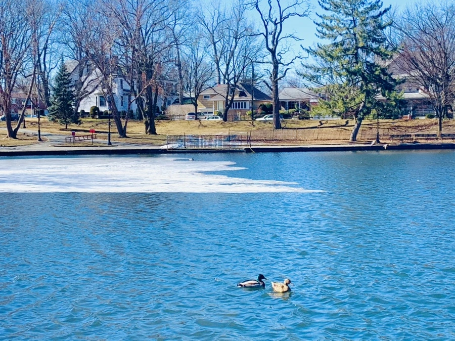 IMG_6616.jpg?type=w966