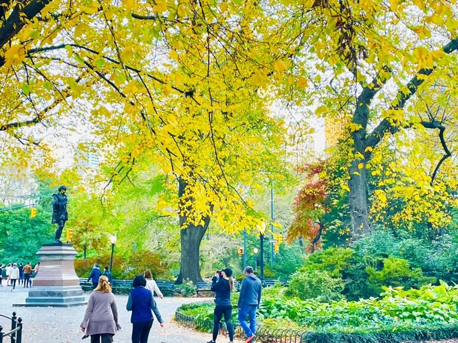 IMG_1484.jpg?type=w966