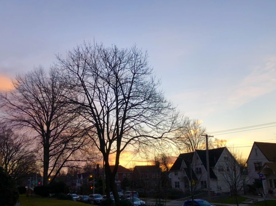 IMG_0757.jpg?type=w966